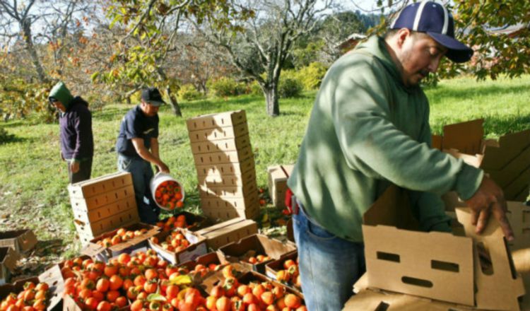 La realidad es que ha bajado la cantidad productiva de rubros en el país.