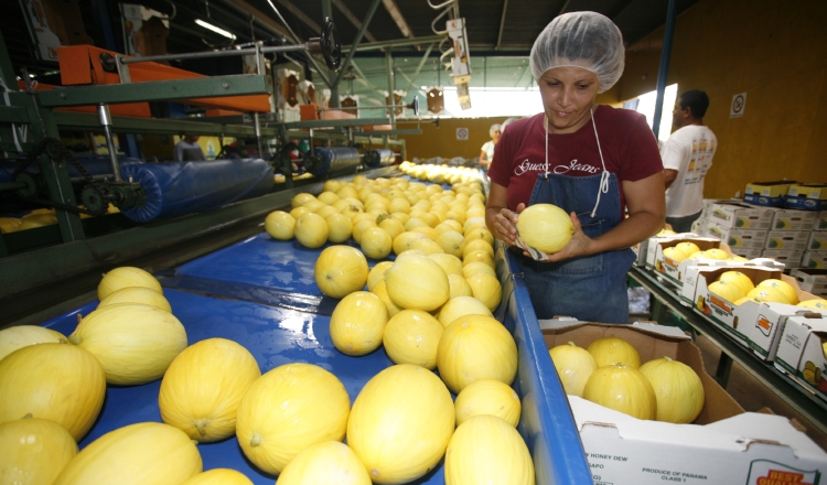 Los requisitos para importaciones son menos que los que se les exigen a productores nacionales. /Foto Archivo