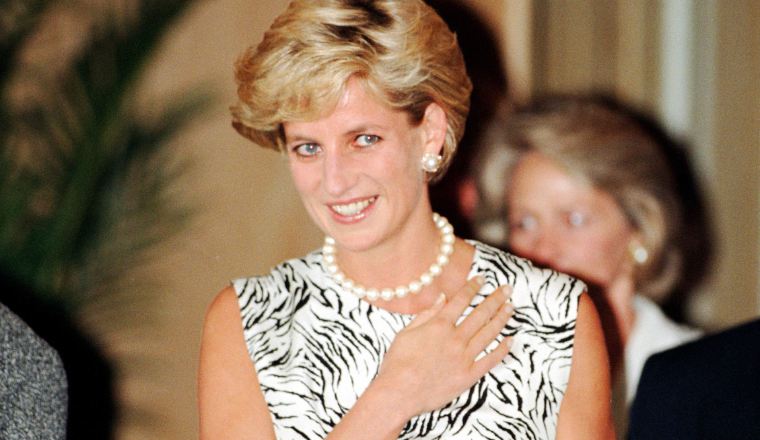 La princesa necesitaba que la amaran y que se preocuparan por ella. La princesa necesitaba que la amaran y que se preocuparan por ella.
