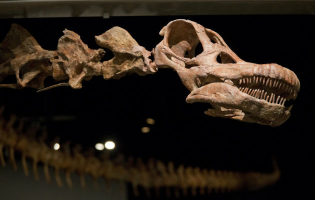 El Patagotitán. Foto/ AP