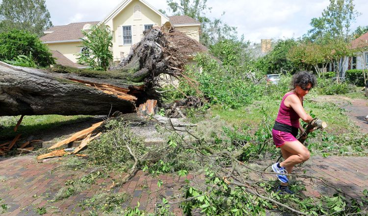Una mujer limpia su propiedad en Orlando, Florida, donde el huracán Irma derribó un gran árbol. /Foto EFE