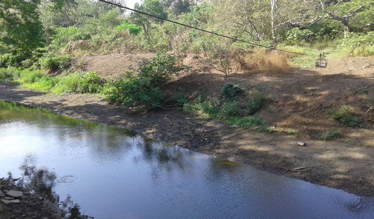 Se conformó un comité de cuenca del río, que busca la defensa y protección del recurso hídrico. /Foto Thays Domínguez