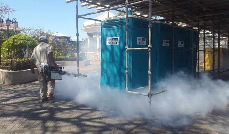 Los mosquitos descansan en áreas húmedas y oscuras. /Foto Cortesía