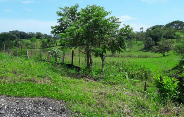 Construcción de casas de citas fue declarada viable por la gobernación