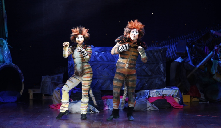 Dupleta: Mungojerrie y Rumpleteazer. Hicieron gala de su talento en el canto, baile y acrobacias. Bien se pueden ganar la vida con estas artes sin tener que depender de los mimos de ningún amo.