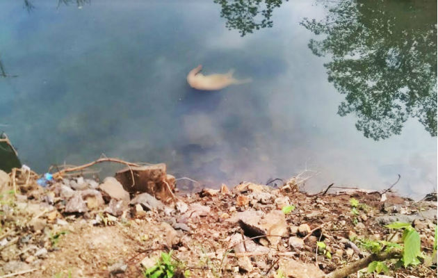La muer apareció flotando en las aguas del río Arraijancito de Burunga. / Archivo.