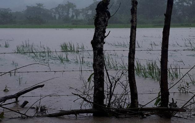 Las lluvias no detienen en el sur de Mariato. Foto: Melquíades Vásquez