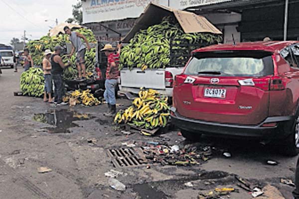 28 toneladas de alimentos se pierden cada día  en el mercado