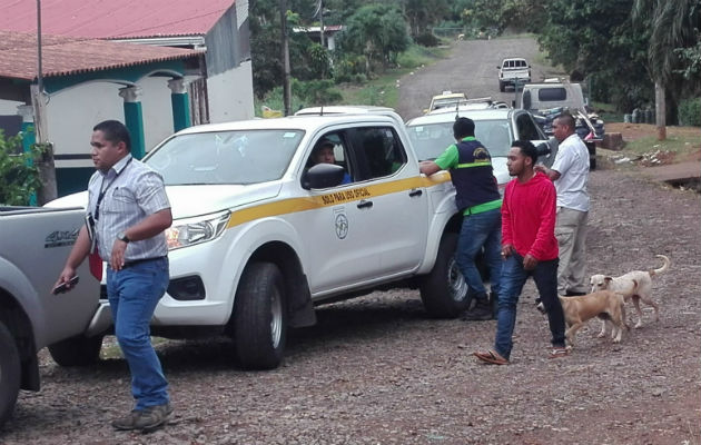 La búsqueda se concentró en