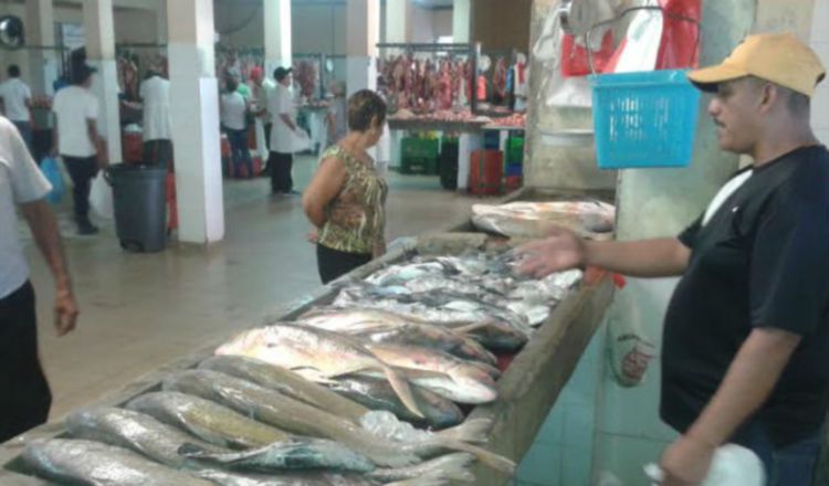 Los precios del pescado varían dependiendo del comercio donde lo compre. /Foto Archivo.