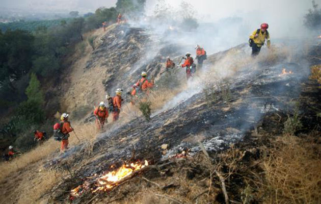 Reclusos bomberos combaten el incendio. Foto: EFE 