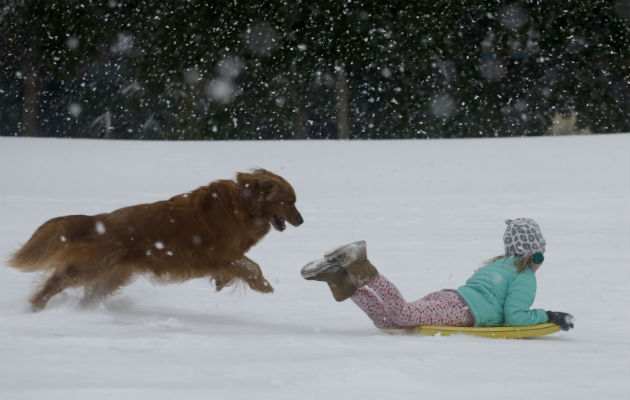 Una persona y su perro juegan en la nieve. FOTO/AP