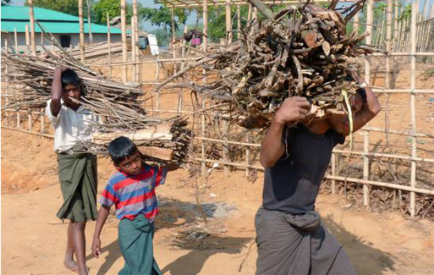 Dos niños acompañan a un adulto cargando leña que han recogido de los bosques de los alrededores del campamento de Kutupalong, en Bangladesh. Foto: EFE