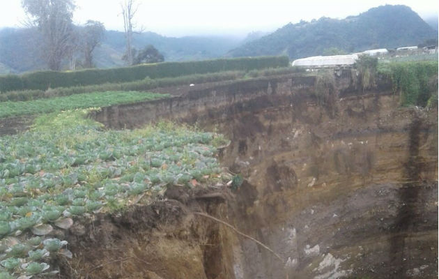 Hubo pérdida de hortalizas. Foto: José Vásquez 