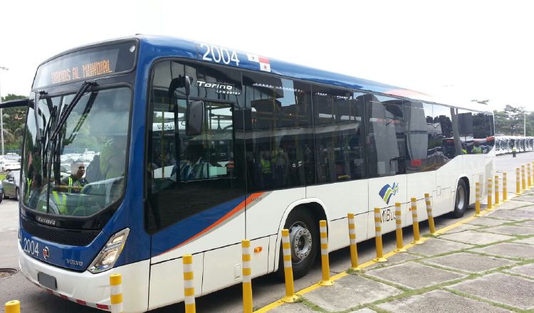 Estos buses de más longitud tienen capacidad para 125 personas. /Foto Archivo