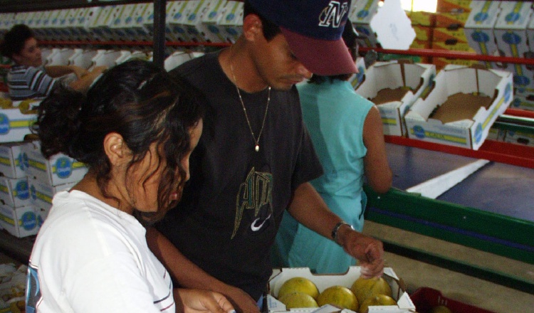 Panamá apuesta a las exportaciones hacia China, aunque cuenta con un sector agro deprimido. /Foto Archivo