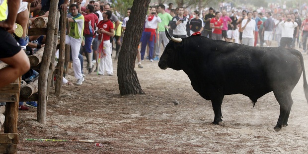 Foto: Ilustrativa
