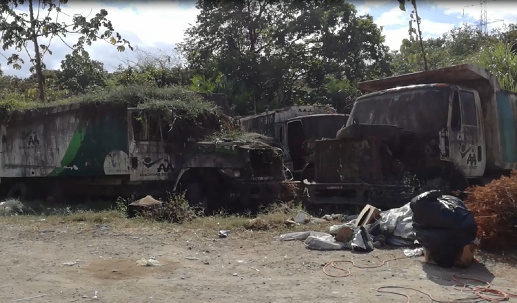 Los camiones llevan tanto tiempo en ese terreno, que la hierba los está tapando. Foto: Yaissel Urieta Moreno