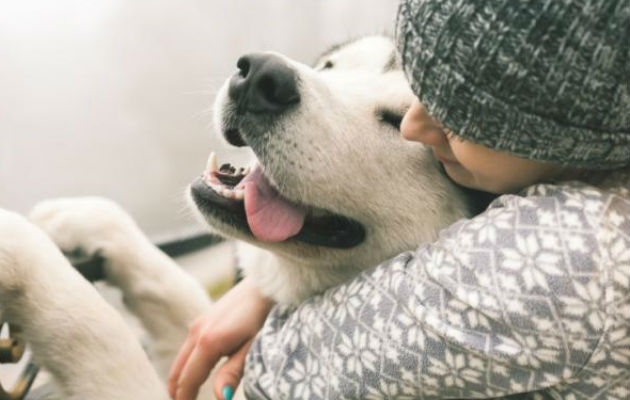 La iniciativa busca fomentar el amor a los animales. Foto/Ilustrativa