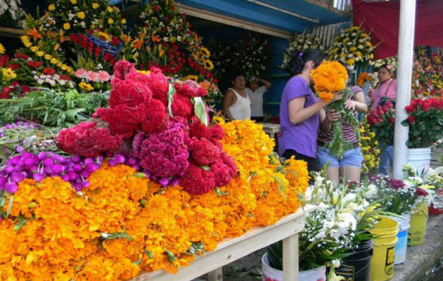 Las flores de Bogotá están entre las mejores del mundo. Foto/Ilustrativa