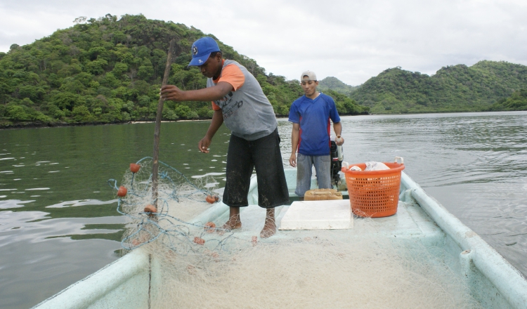 La exportación de pescado y filete de pescado reportó un crecimiento de 1.2% de enero a diciembre. Archivo