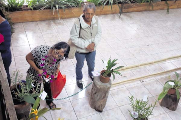 Se espera que ingresen más de 25 mil personas