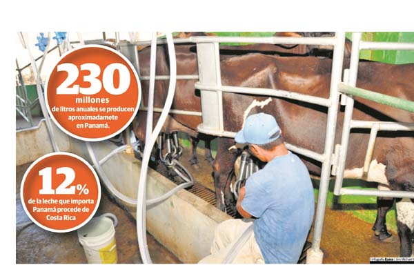 Los productores nacionales aseguran que su producto es de primera calidad, sin embargo la leche que entra de otros países podría no cumplir con normas sanitarias. /Foto Archivo 