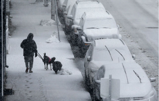Un hombre pasea sus perros ante autos cubiertos de nieve. Foto: AP.