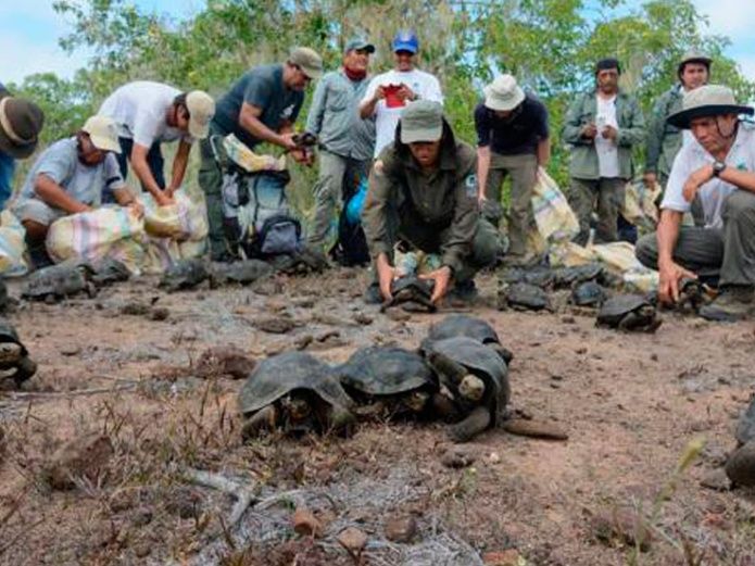 Los puntos de ingreso para la Reserva Marina Galápagos son los aeropuertos de Baltra y San Cristóbal. FOTO/EFE