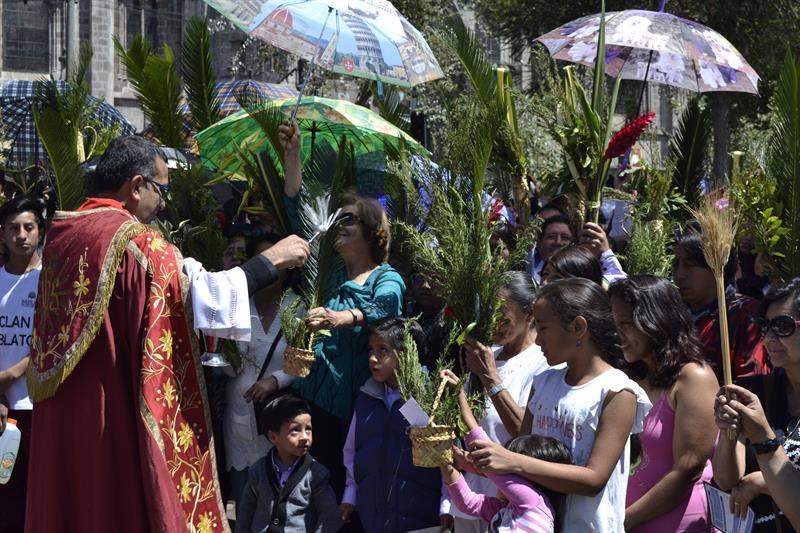 Miles de devotos católicos acudieron a las iglesias de la capital ecuatoriana, en especial del centro histórico colonial, con ramos y ornamentos de palma para conmemorar el Domingo de Ramos, jornada con la que arranca la Semana Santa.