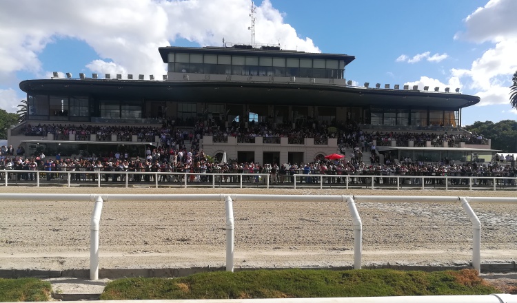 Vista general de la gradas del hipódromo de Maroñas, en Uruguay. Cortesía