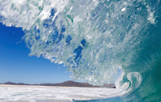 El incremento de las olas de calor marinas tiene con un efecto devastador para los ecosistemas. EFE/Archivo