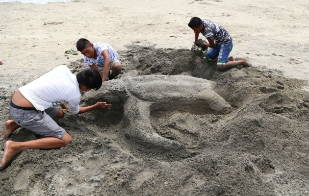 'Programa ecológico y cultural asociado al Festival de las tortugas marinas de Armila'. Foto: Cortesía