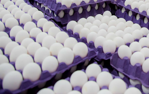 Los huevos Rose Acre Farms no han ingresado al país legalmente
