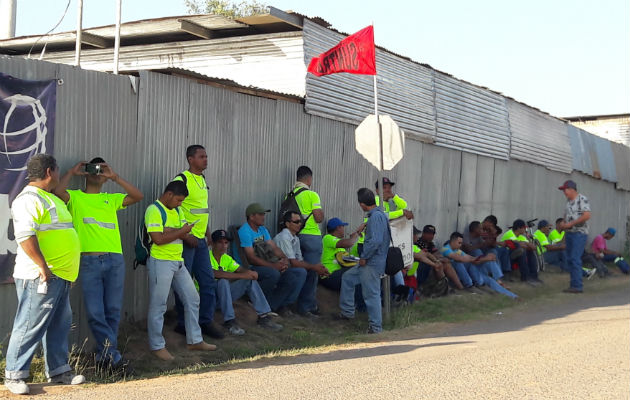 Los trabajadores se mantienen en sus proyectos. Foto: Zenaida Vásquez.