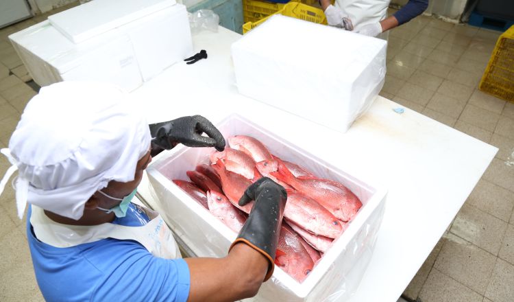 Buscan mercados. Cortesía