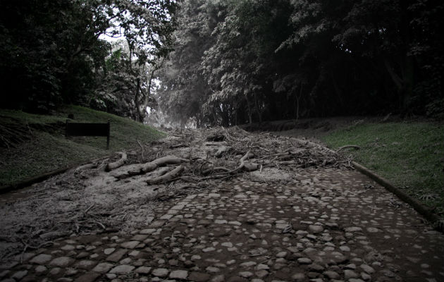 Daños causados por la erupción.