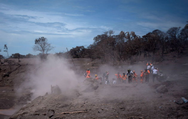 Las labores de búsqueda y rescate. Foto: EFE 