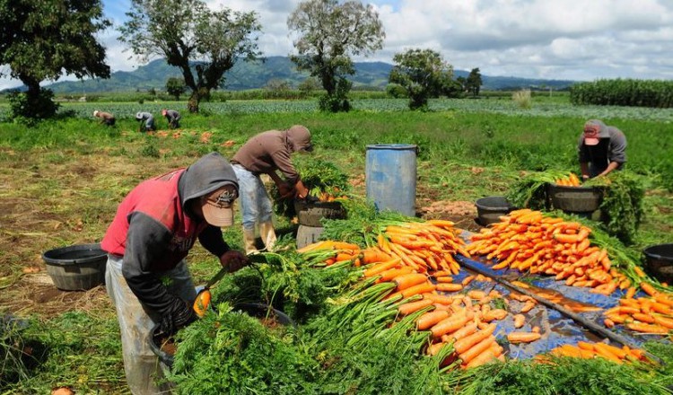 Para 2030 la ONU se ha propuesto erradicar el hambre y la pobreza en el mundo. /Foto Cortesía