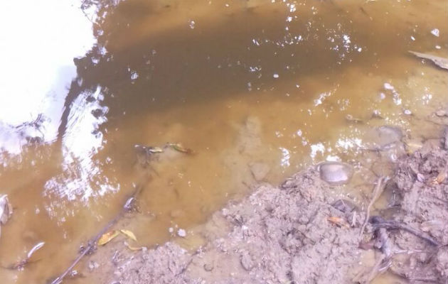 Áreas contaminadas. Foto/Zenaida Vásquez