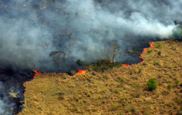 Son cerca de cuarenta incendios los registrados en doce estados. Foto: EFE
