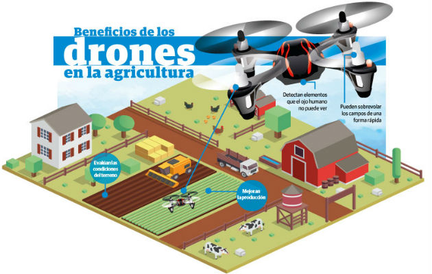 400 mil panameños están en riesgo de sufrir un alto riesgo de inseguridad alimentaria porque no les alcanza para cubrir los costos de la CBF.