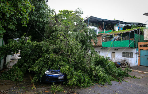 Las afectaciones propiciadas por el paso de la tormenta Carlotta. Foto: EFE 