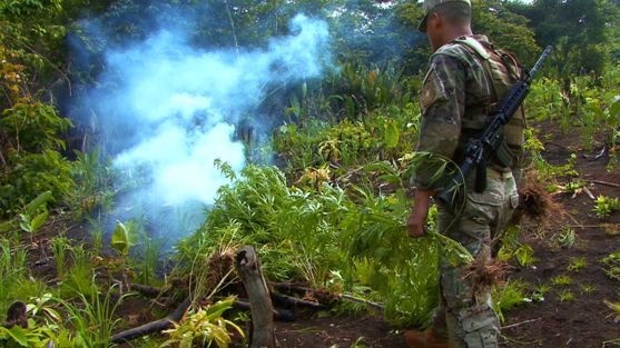 Canadá sigue los pasos de Uruguay al legalizar la marihuana.