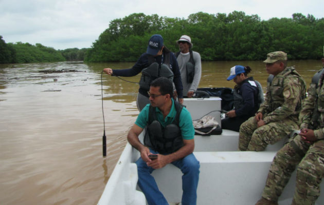 En la investigación participaron técnicos de diversas entidades. Foto: Thays Domínguez.