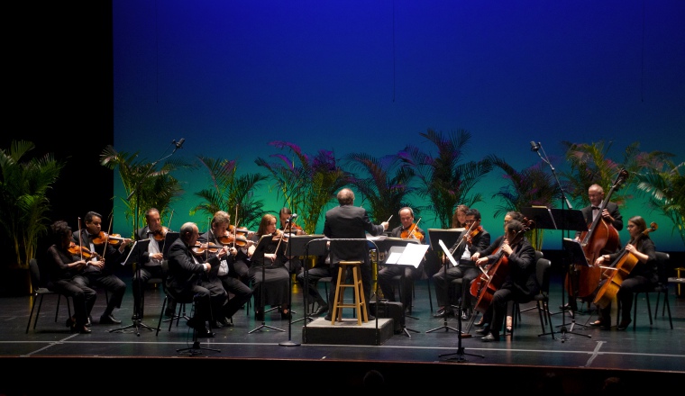 Orquesta Sinfónica de Las Américas en una de sus presentaciones. /Foto Cortesía.