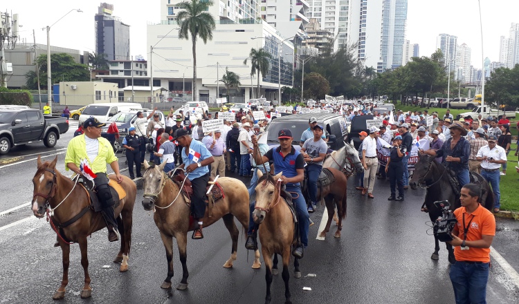 Los productores aprovecharon para pedir respeto a su trabajo, su inversión y el pan de su familia al gobierno de Juan Carlos Varela. /Foto: Yaissel Urieta Moreno