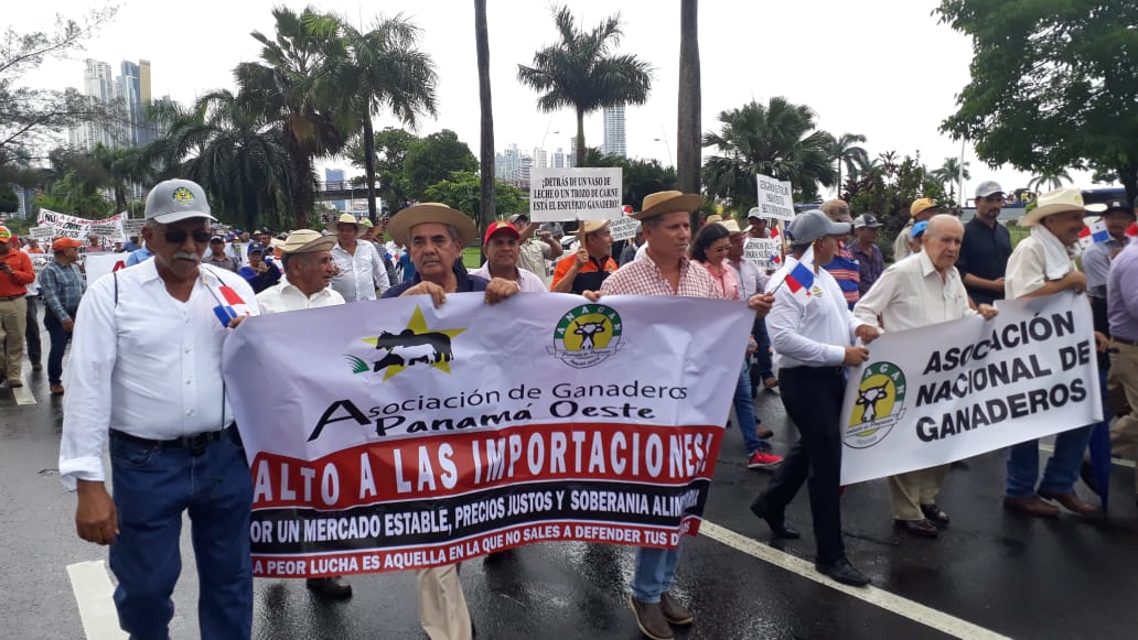 Distintas organizaciones a nivel nacional se dieron cita a esta marcha.