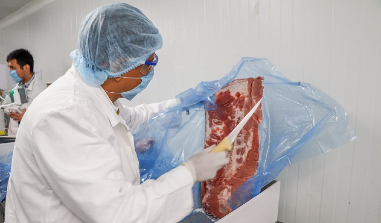 Argentina sí autorizó el ingreso de carne porcina de Estados Unidos.  EFE