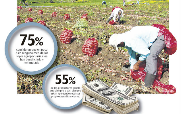 El sector agropecuario está de luto, de acuerdo con los productores